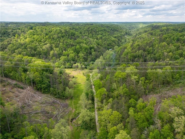 2656B Coleman Creek Rd, Fraziers Bottom, WV 25082 - photo 13