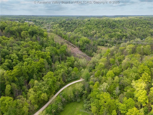 2656B Coleman Creek Rd, Fraziers Bottom, WV 25082 - photo 16