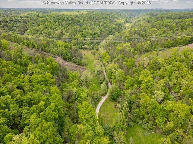2656B Coleman Creek Rd, Fraziers Bottom, WV 25082 - photo 18