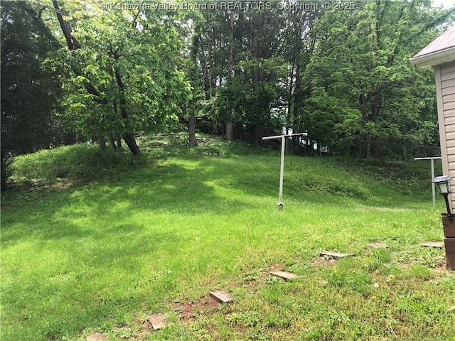 329 3rd Ave, Ripley, WV 25271 - view of green lawn