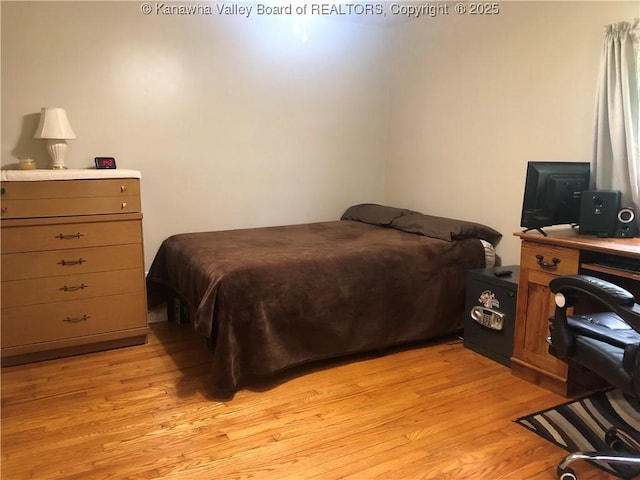 329 3rd Ave, Ripley, WV 25271 - bedroom with light wood-type flooring