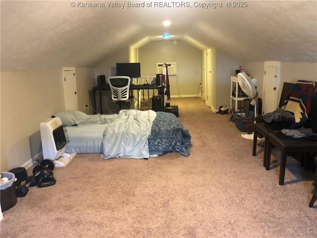 329 3rd Ave, Ripley, WV 25271 - carpeted bedroom with a textured ceiling, lofted ceiling, baseboards, and heating unit