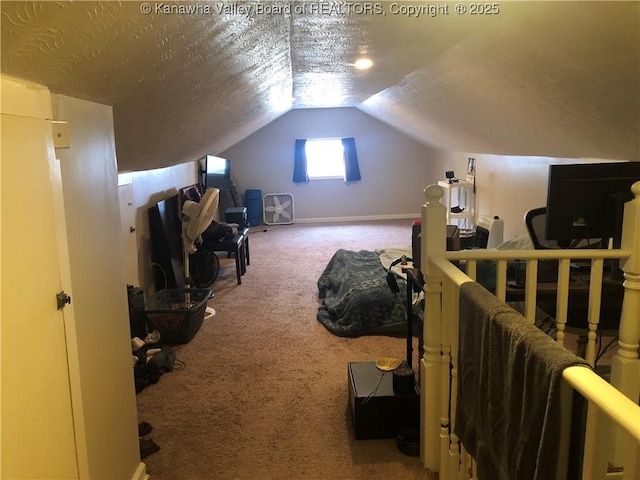 329 3rd Ave, Ripley, WV 25271 - carpeted bedroom with lofted ceiling and a textured ceiling