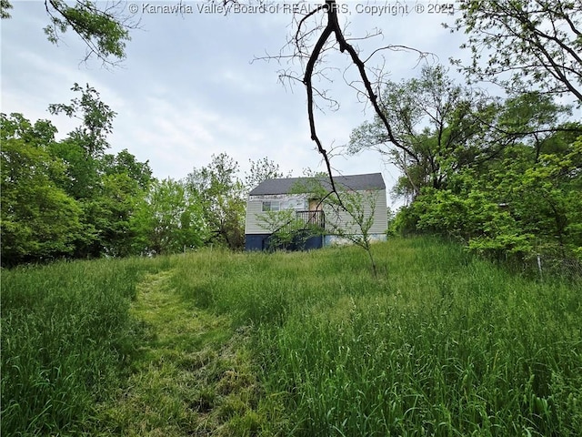1619 Livingston Ave, Charleston, WV 25387 - view of yard