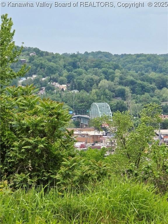 1620 Red Oak St, Charleston, WV 25387 - view of mountain background with a heavily wooded area