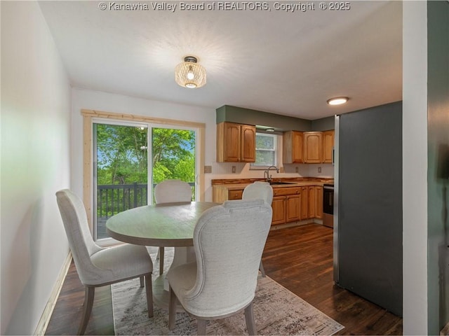 dining area featuring dark wood-type flooring