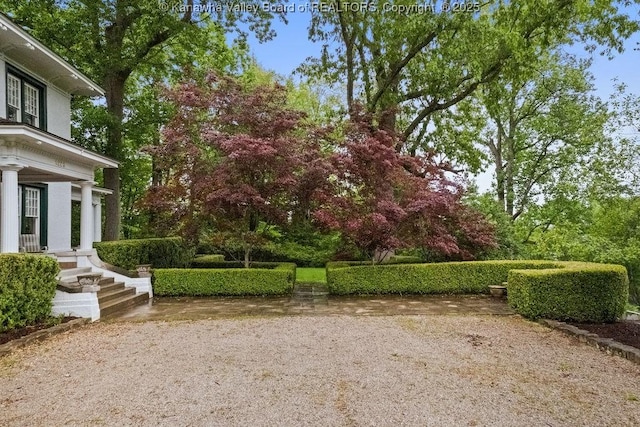 1223 Staunton Rd, Charleston, WV 25314 - view of yard
