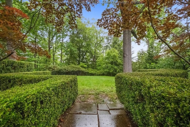 1223 Staunton Rd, Charleston, WV 25314 - view of yard