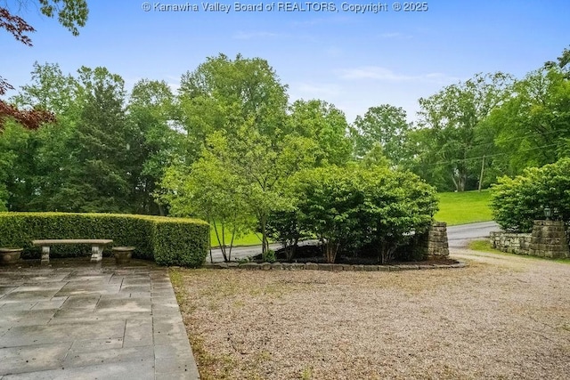 1223 Staunton Rd, Charleston, WV 25314 - view of community featuring a patio