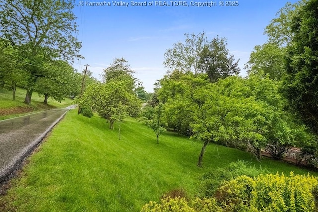 1223 Staunton Rd, Charleston, WV 25314 - view of grassy yard