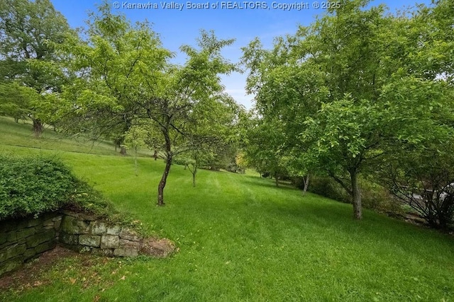 1223 Staunton Rd, Charleston, WV 25314 - view of grassy yard