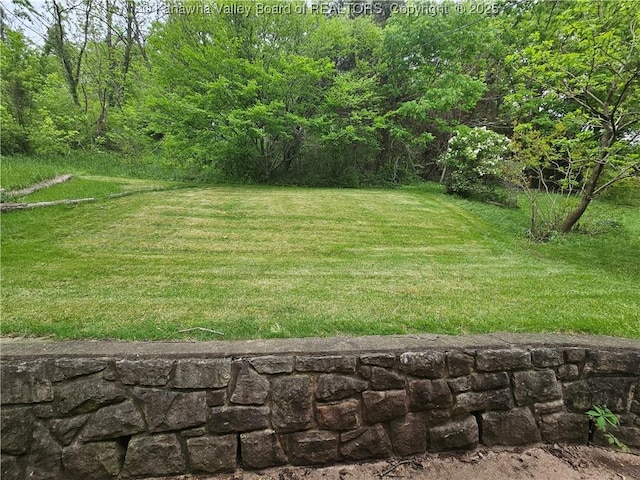 1000 Park Dr, Dunbar, WV 25064 - view of green lawn