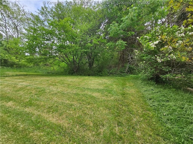 1000 Park Dr, Dunbar, WV 25064 - view of green lawn