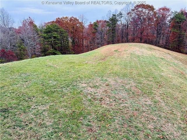 2885 Emma Rd, Given, WV 25245 - view of grassy yard with a forest view