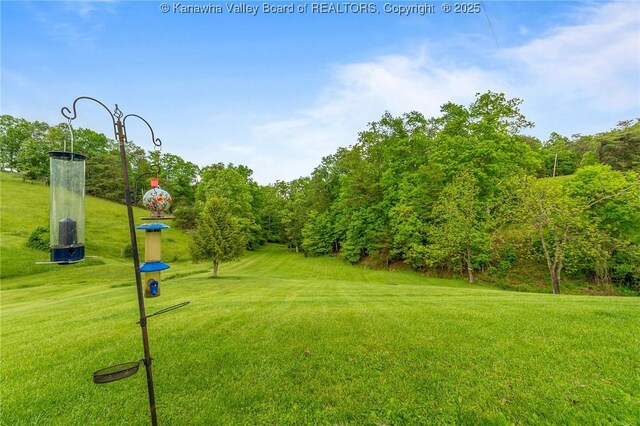3589 Mount Union Rd, Fraziers Bottom, WV 25082 - view of property's community featuring a lawn