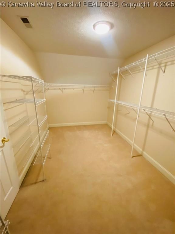 516 Woodbridge Dr, Charleston, WV 25311 - spacious closet with carpet