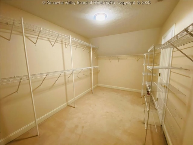 516 Woodbridge Dr, Charleston, WV 25311 - spacious closet with carpet floors