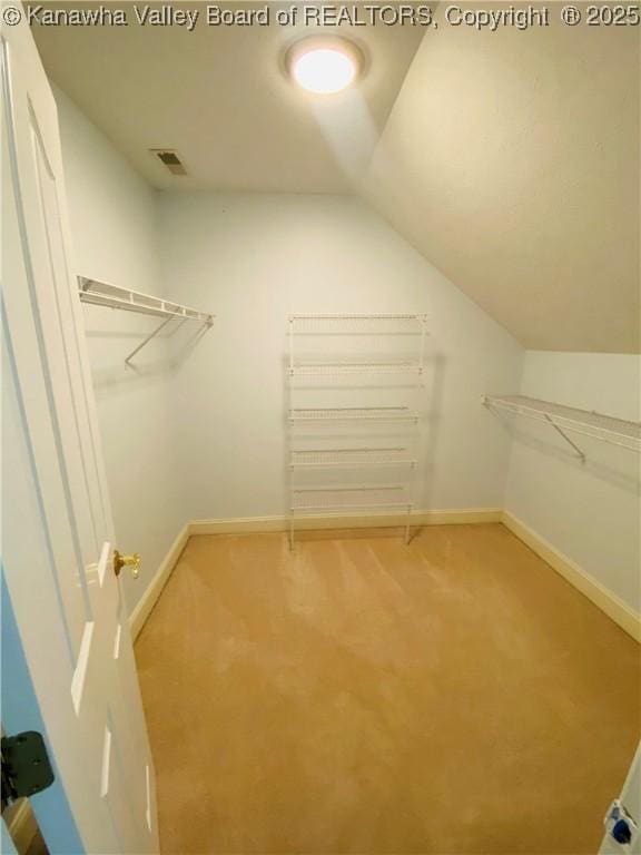 516 Woodbridge Dr, Charleston, WV 25311 - spacious closet with light colored carpet and vaulted ceiling