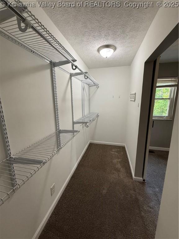 2 Stephanie Ln, Saint Albans, WV 25177 - spacious closet with carpet floors
