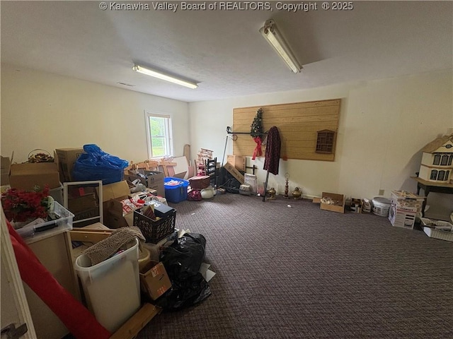 3888-3890 Charleston Rd, Gandeeville, WV 25243 - basement with carpet floors