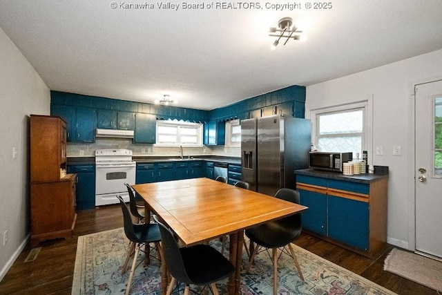 kitchen featuring appliances with stainless steel finishes, blue cabinetry, a sink, under cabinet range hood, and dark wood-style flooring