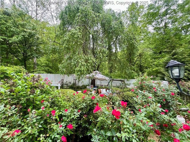 103 Chestnut Dr, Peytona, WV 25154 - view of yard with fence