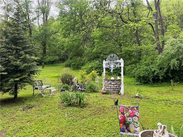 103 Chestnut Dr, Peytona, WV 25154 - view of grassy yard featuring a view of trees