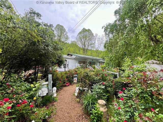 103 Chestnut Dr, Peytona, WV 25154 - view of yard