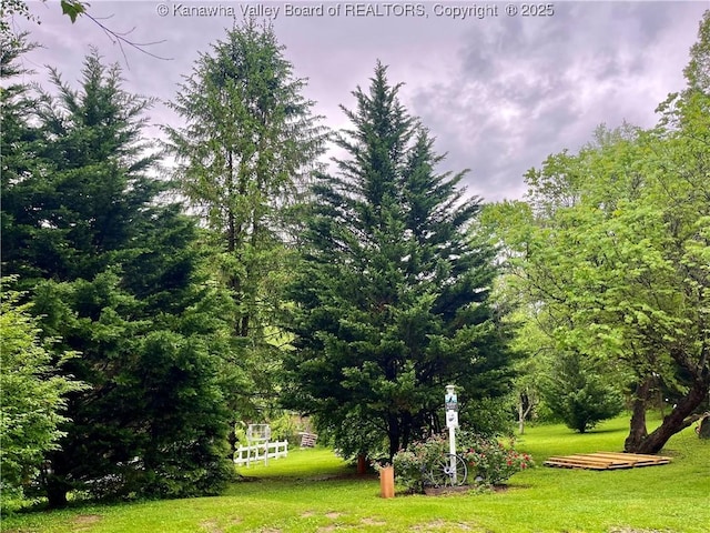 103 Chestnut Dr, Peytona, WV 25154 - view of grassy yard