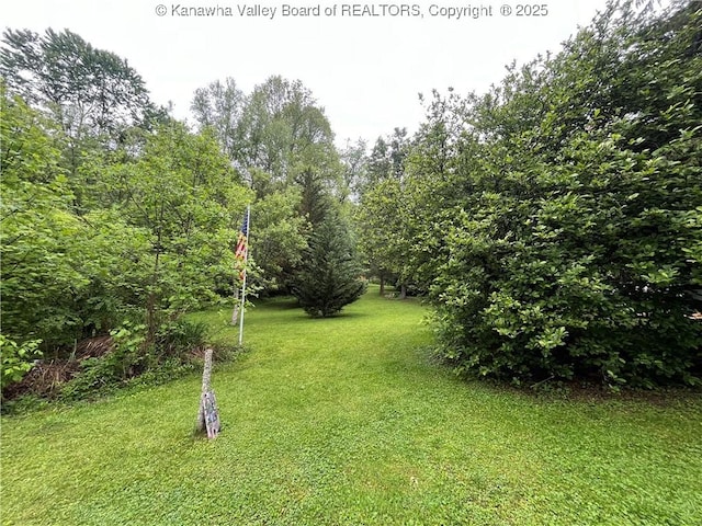 103 Chestnut Dr, Peytona, WV 25154 - view of grassy yard