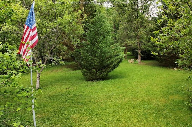 103 Chestnut Dr, Peytona, WV 25154 - view of green lawn