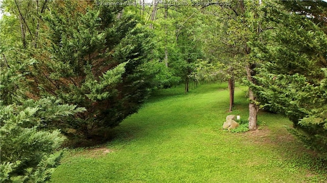 103 Chestnut Dr, Peytona, WV 25154 - view of green lawn