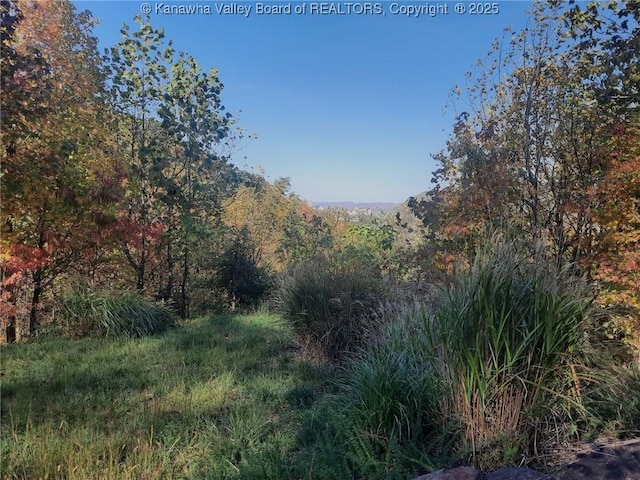 0 Chappell Rd, Charleston, WV 25304