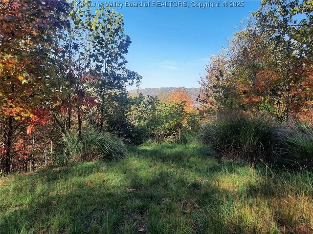 0 Chappell Rd, Charleston, WV 25304