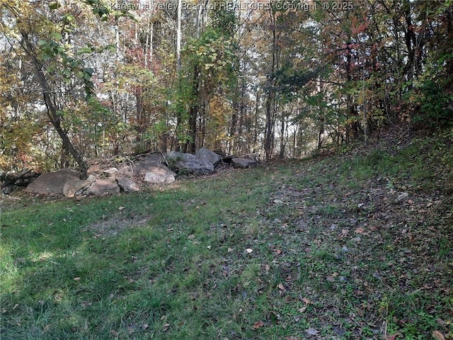 0 Chappell Rd, Charleston, WV 25304