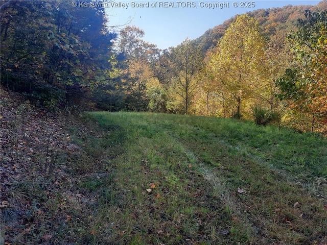 0 Chappell Rd, Charleston, WV 25304