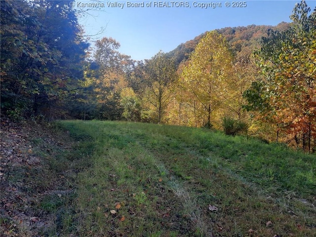 0 Chappell Rd, Charleston, WV 25304