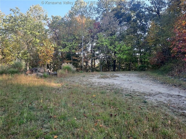 0 Chappell Rd, Charleston, WV 25304