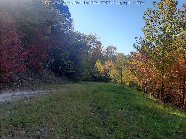 0 Chappell Rd, Charleston, WV 25304