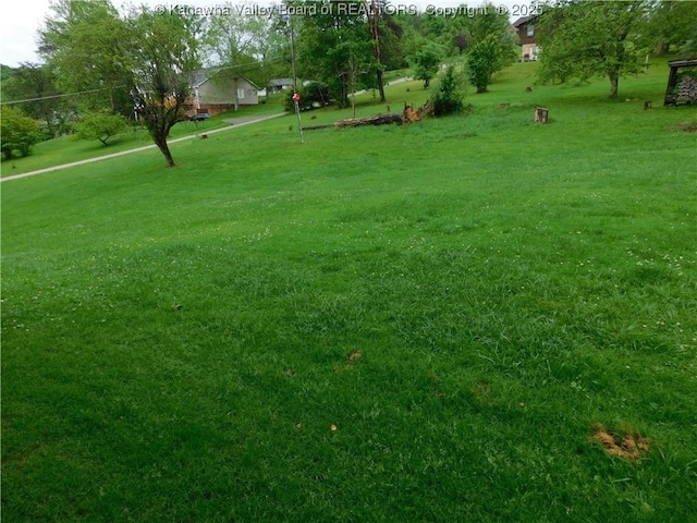 view of green lawn