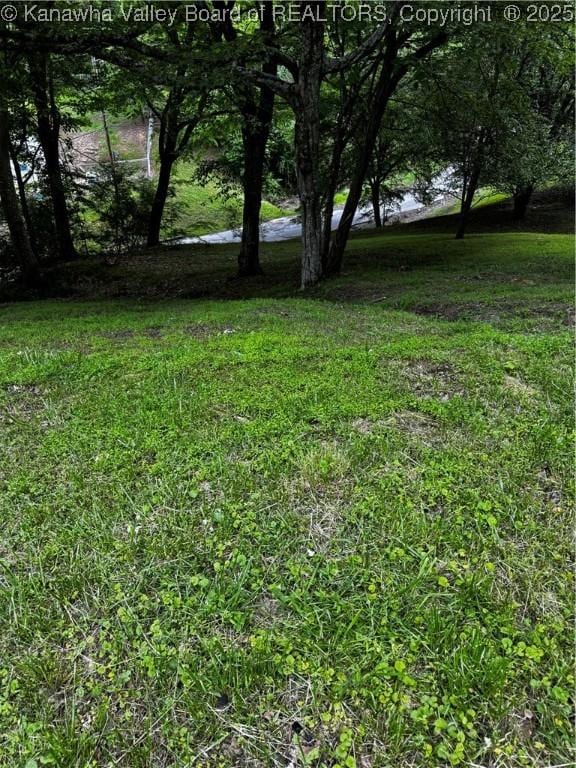 352 Hidden Valley Rd, Chapmanville, WV 25508 - view of yard