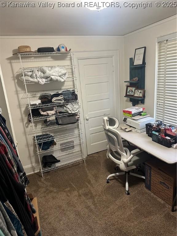 5505 Washington Ave, Charleston, WV 25304 - office area featuring ornamental molding and carpet flooring