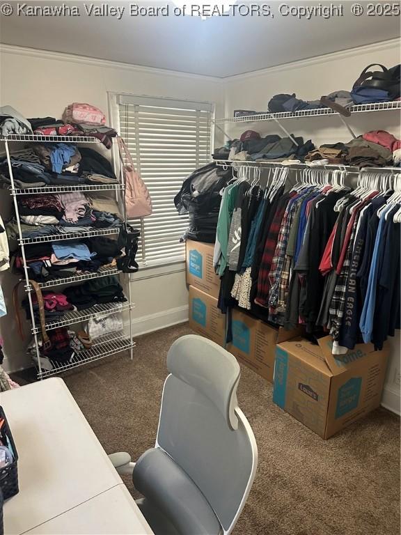 5505 Washington Ave, Charleston, WV 25304 - walk in closet featuring carpet flooring