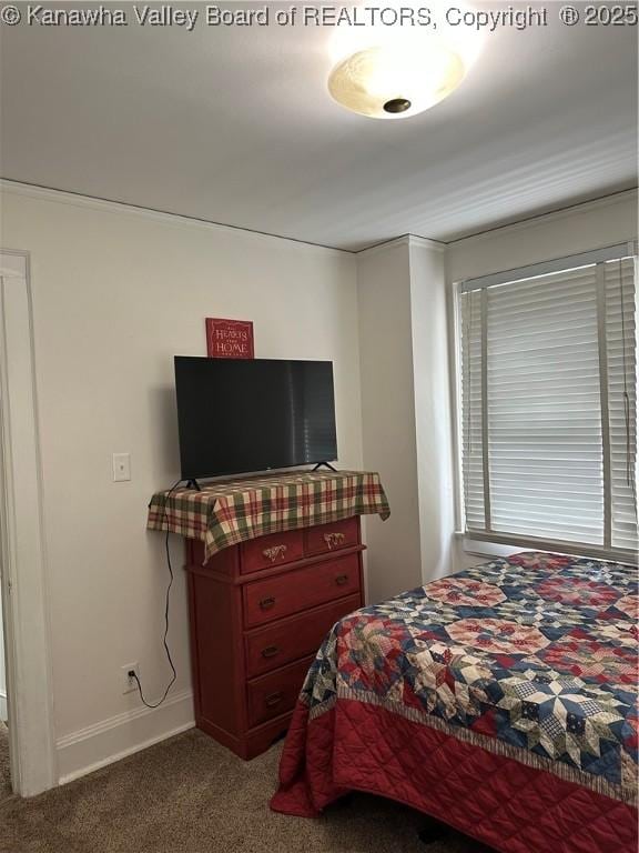 5505 Washington Ave, Charleston, WV 25304 - bedroom with carpet, ornamental molding, and baseboards