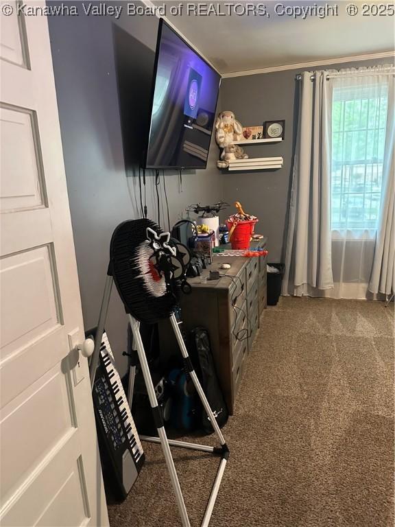 5505 Washington Ave, Charleston, WV 25304 - bedroom with carpet floors and crown molding
