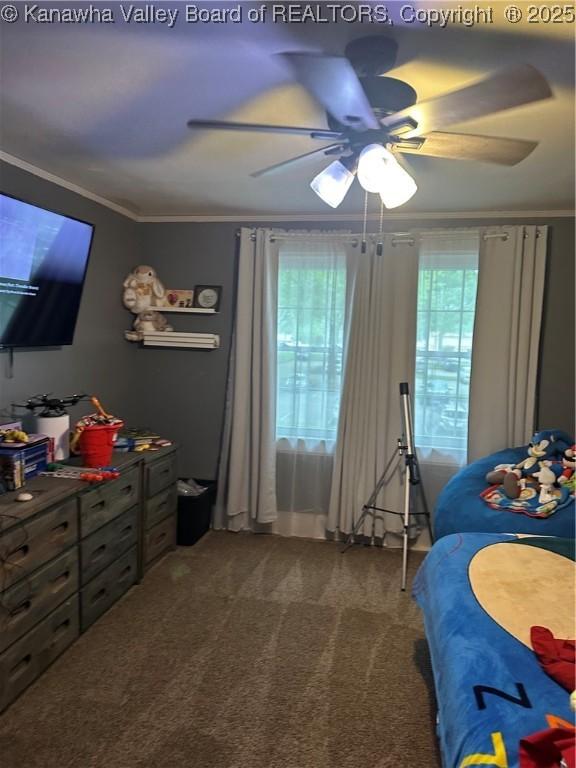 5505 Washington Ave, Charleston, WV 25304 - bedroom with ornamental molding, multiple windows, carpet flooring, and ceiling fan