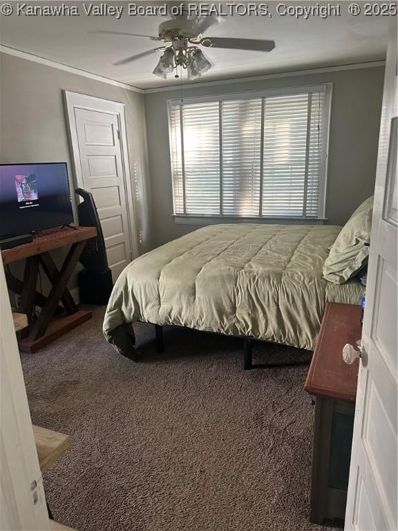 5505 Washington Ave, Charleston, WV 25304 - bedroom featuring crown molding, carpet, multiple windows, a ceiling fan, and a closet