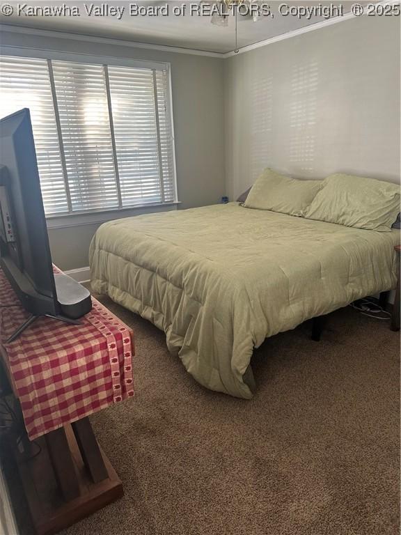 5505 Washington Ave, Charleston, WV 25304 - bedroom featuring carpet, ornamental molding, and baseboards