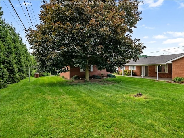 view of grassy yard featuring a patio