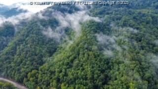 1136 Pond Fork Rd, Madison, WV 25130